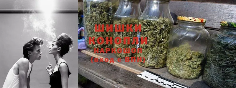 mega   Минеральные Воды  Каннабис OG Kush 